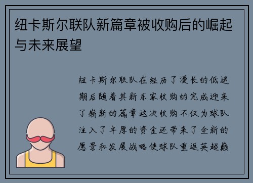 纽卡斯尔联队新篇章被收购后的崛起与未来展望