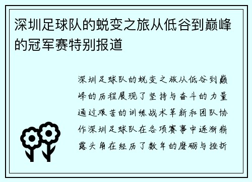 深圳足球队的蜕变之旅从低谷到巅峰的冠军赛特别报道